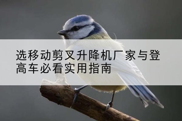 索县电动升降机厂家-选移动剪叉升降机厂家与登高车必看实用指南