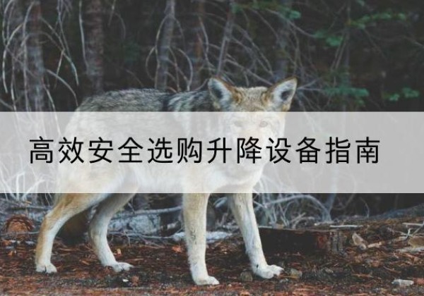 索县升降货梯厂家推荐-*安全选购升降设备指南