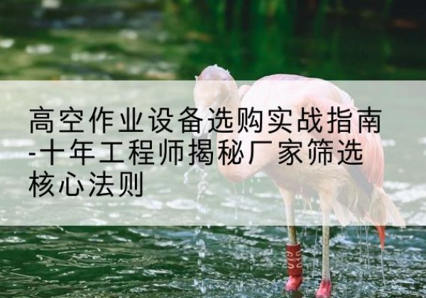 索县剪叉式升降机厂家-高空作业设备选购实战指南-十年工程师揭秘厂家筛选核心法则